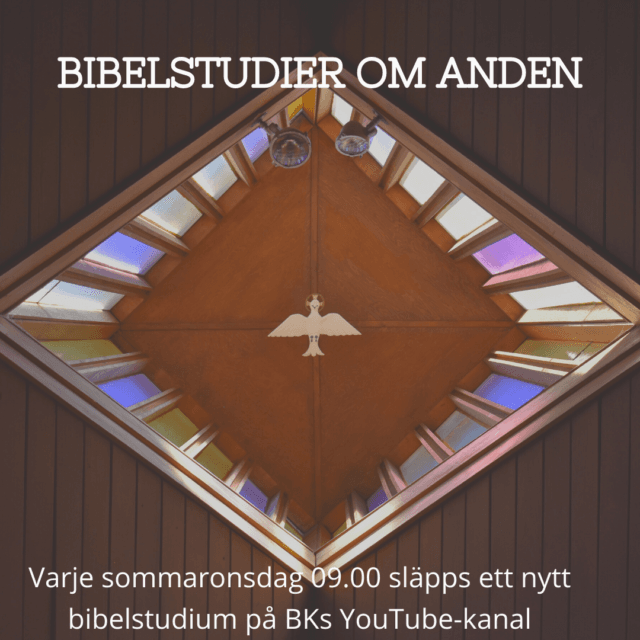 Sommarbibelstudier